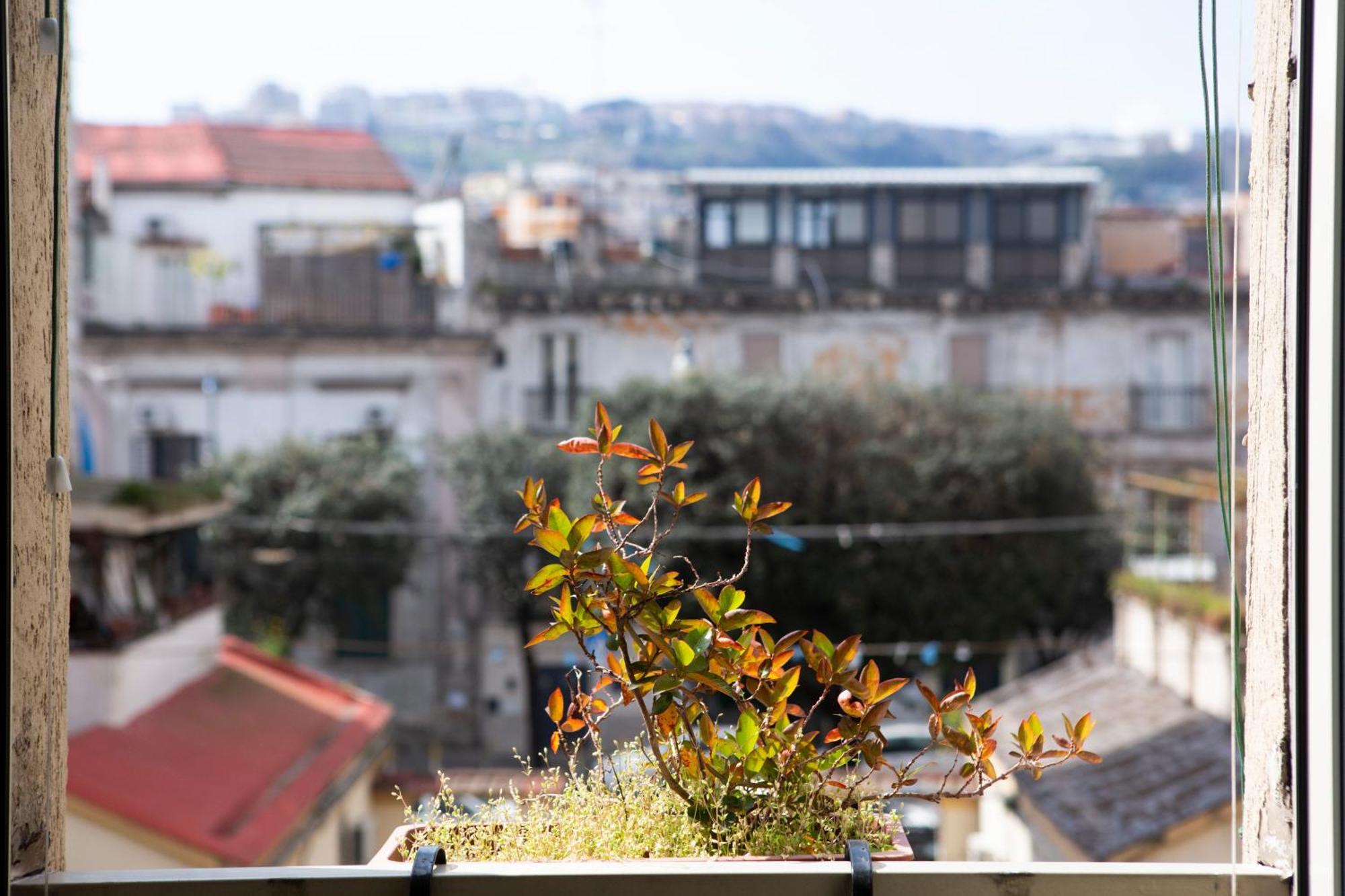 Bnb Etnuvio, Double Rooms In Naples Nápoles Exterior foto